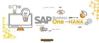 SAP Business One for HANA